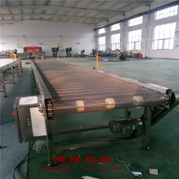 德隆工廠直銷 不銹鋼網(wǎng)帶傳送帶自動化輸送設(shè)備，食品專用解決方案